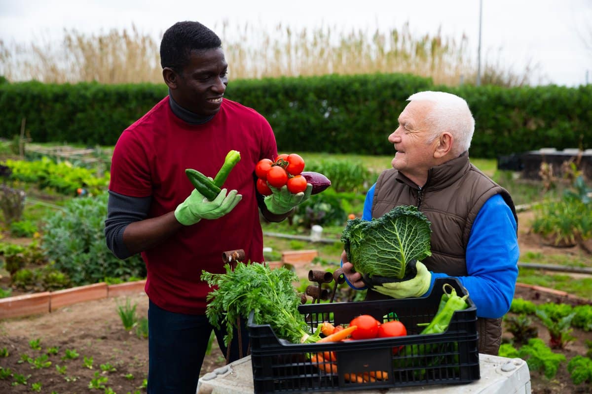 Dental Health Tips for Summer