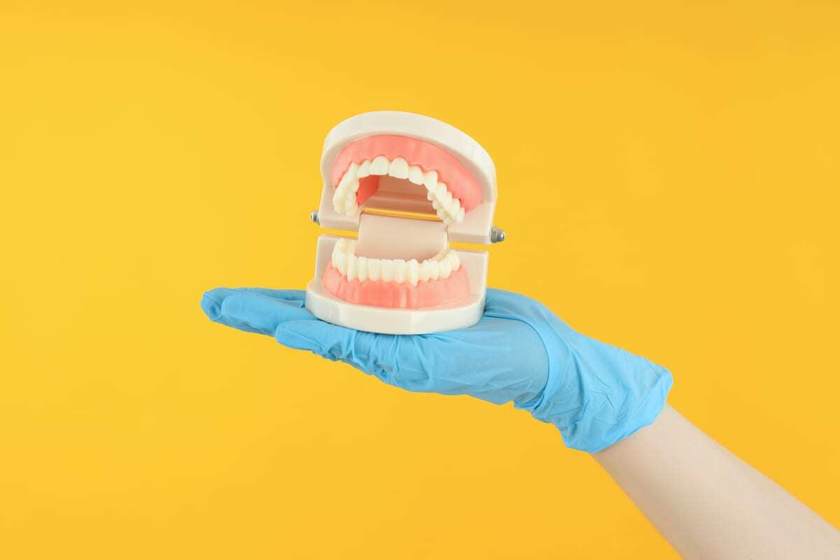 Dentist holding dental model showing upper and lower teeth with gum tissue on yellow background.